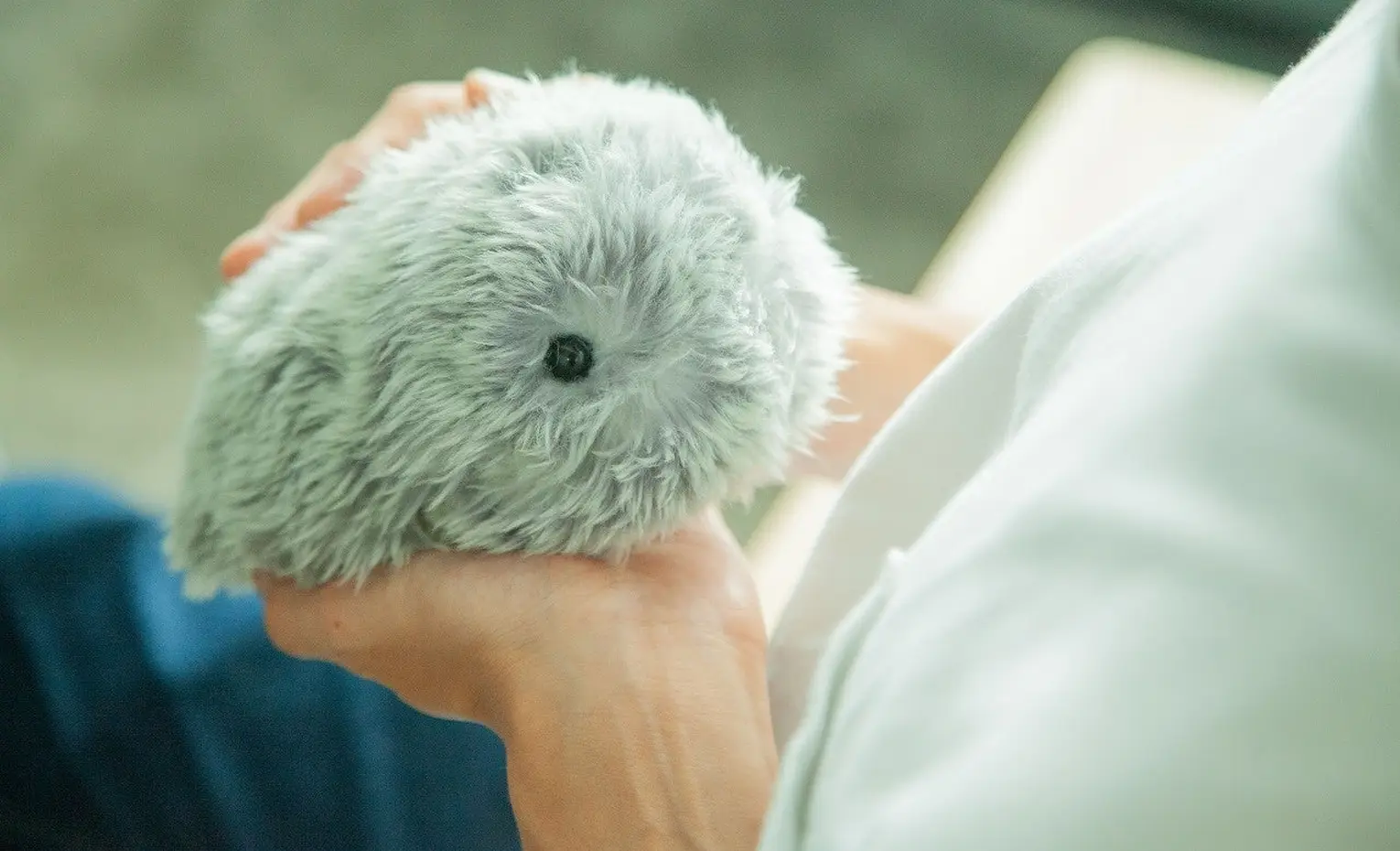 مافلین، ربات حیوان هوش مصنوعی کاسیو مافلین، ربات حیوان هوش مصنوعی کاسیو