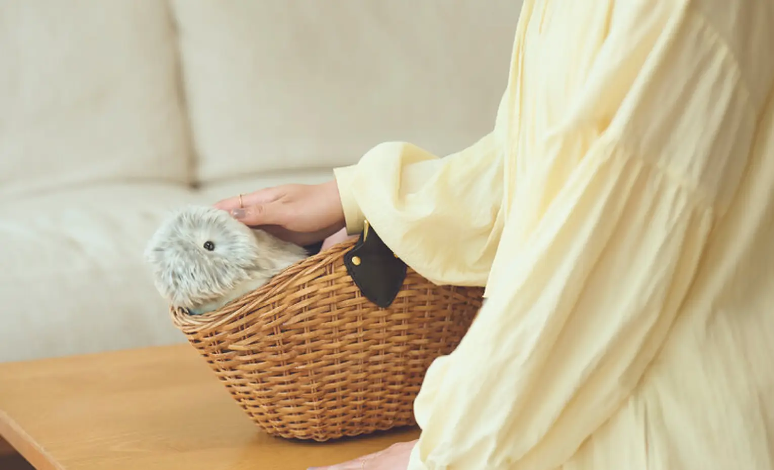 مافلین، ربات حیوان هوش مصنوعی کاسیو مافلین، ربات حیوان هوش مصنوعی کاسیو