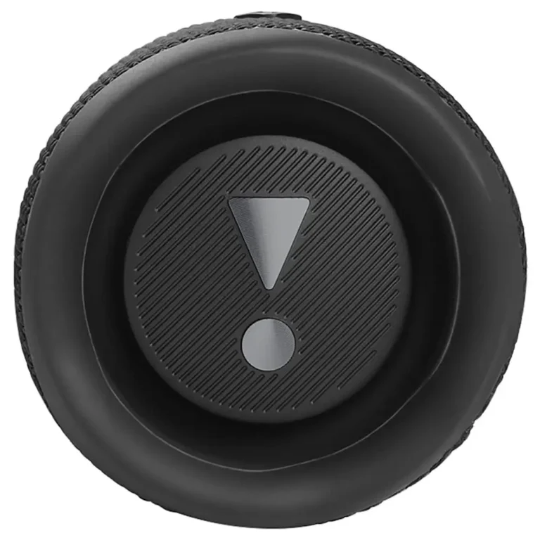 JBL Flip 6