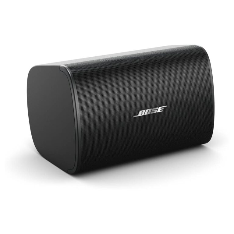 Bose DesignMax DM6SE