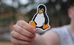 معایب لینوکس: 5 دلیل برای منصرف شدن از لینوکس