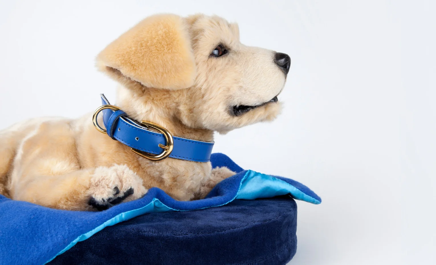 ربات اسباب بازی هوشمند، بازتعریف مفهوم همدم در سال ۲۰۲۵