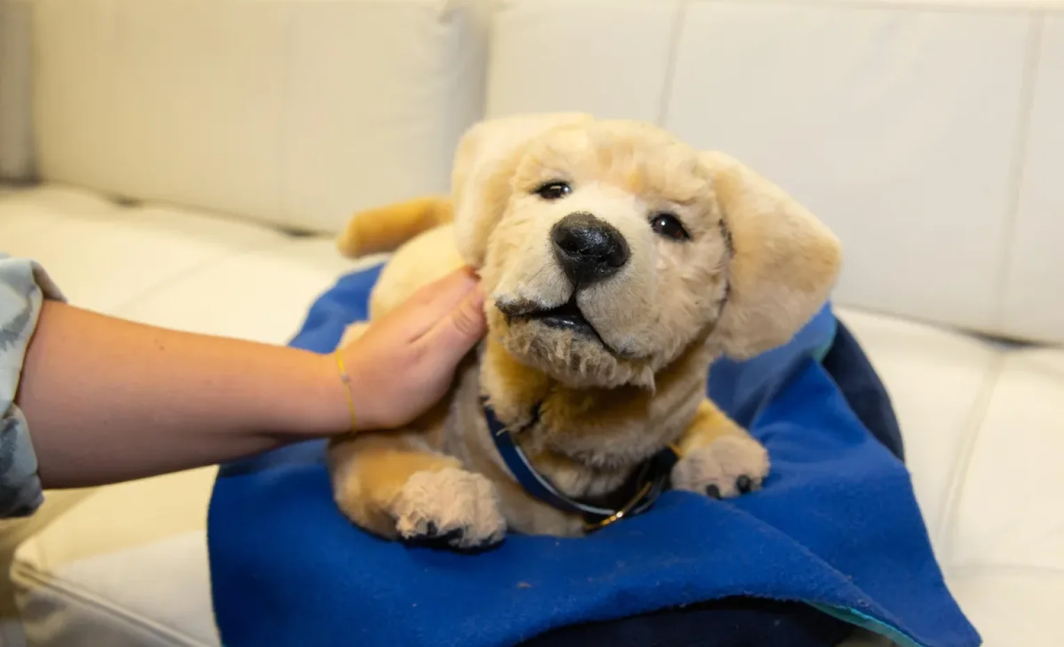 ربات اسباب بازی هوشمند، بازتعریف مفهوم همدم در سال ۲۰۲۵