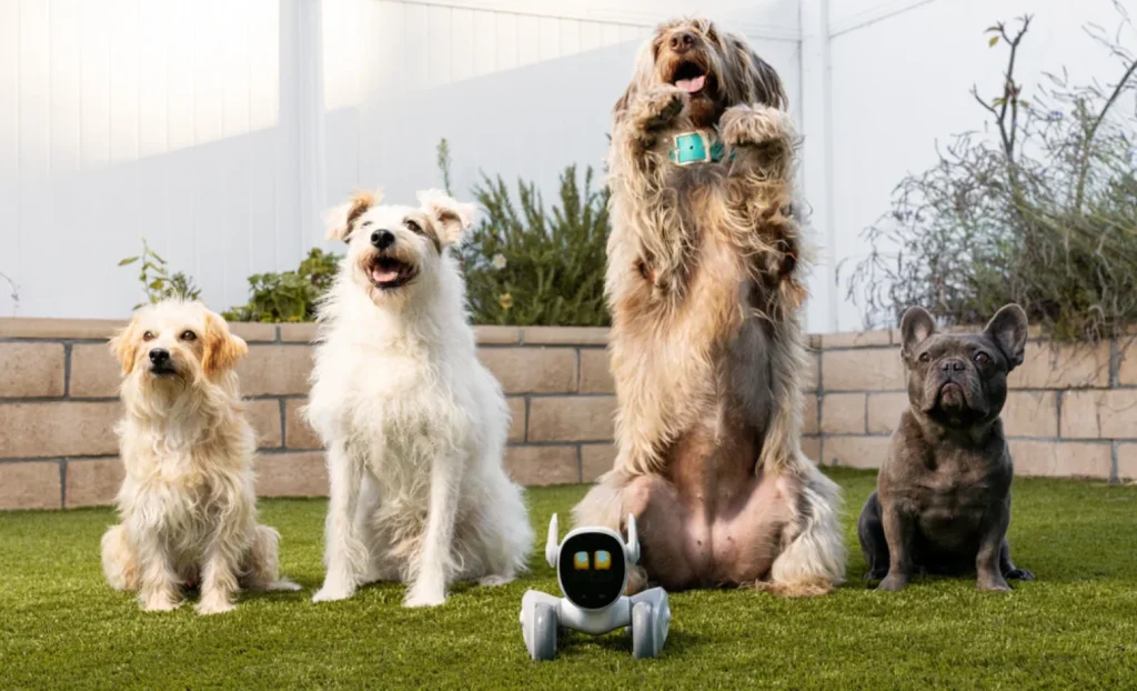 ربات اسباب بازی هوشمند، بازتعریف مفهوم همدم در سال ۲۰۲۵