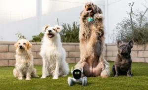 ربات اسباب بازی هوشمند، بازتعریف مفهوم همدم در سال ۲۰۲۵